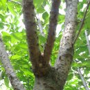 목원농장 이미지