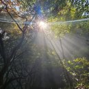 청솔장모텔 이미지