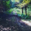 동백목장2 이미지