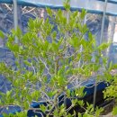 방죽골농장 이미지