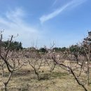 매화보건진료소 이미지