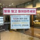 양양 발렌타인 애견펜션 | 양양 글램독 애견동반 숙소 펜션 솔직후기