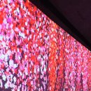 투썸플레이스 진영DT점 이미지