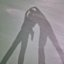 인라인롤러장 이미지