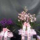 에이플러스약국 이미지