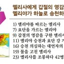 원정들1 이미지