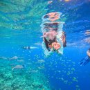 필승농장 | 필리핀 보홀 여행 3박 5일 일정 코스 자유여행 패키지 준비물