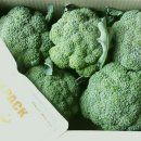 모단농장 이미지