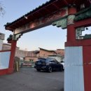 고등반점 이미지