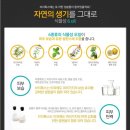 브이(V)6