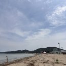 감나무민박 네이버블로그