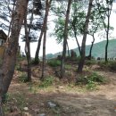 살둔산장 이미지