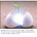 부활목장 이미지