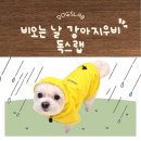 숨 쉬는 강아지 우비 재질 좋은 강아지우비 찾는다면 독스랩 드라이트랙 레인코트 후기