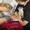수원 실내동물원 금곡동 수달앤쥬 아이와 가볼만한곳｜동물교감 체험 후기