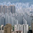 벤자민세무회계 이미지