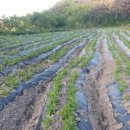 신가농장 이미지