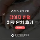 분당동물병원 | 분당 동물병원 강아지 빈혈 치료 완치 후기
