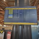 상반기 가족과 함께하는 보드게임 | 세부 가족연수 조이풀에듀 연수후기 &amp; 프로모션