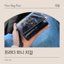 미니무드 | 신상 레더 빈티지 무드 프라다 미니 지갑 후기