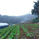 서당골 농장 이미지