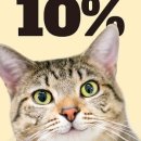 제주냐옹실 고양이미용 이미지