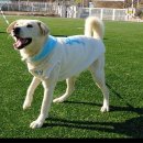 햇님이네 이미지