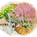 다코기 | [5호선] 애오개역 _ 만리동 치킨 _ 다코기 _ 솔직후기