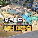 속옷할인점 - 부평구 부평대로 7 | 오션월드 꿀팁! 오션월드 놀이기구 준비물 반입금지 워터슈즈 카드결제 2026년 오션월드 미들시즌...