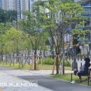 도심의 쉼터 이미지