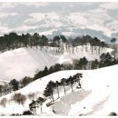 빛과 소금 이미지