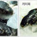 금장생복집 이미지