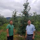 진등농장 이미지