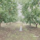 과일나라테마공원3 | 충북 영동 과일나라 테마공원 후기 및 정보