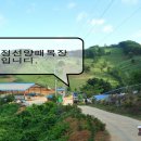 야초목장 네이버블로그