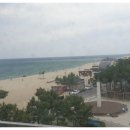 낙산7호넷비치 이미지