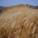 그린파크장여관 이미지