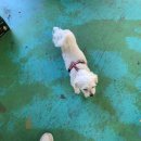 허당농산