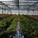 오수농장 이미지