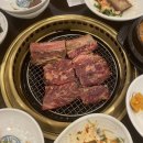 디아그모토 | 챗바퀴 일상