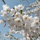 물안마을 이미지