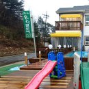 안면도 네잎클로버 수영장 이미지