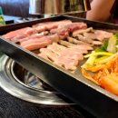 오늘애