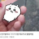 내가방 이미지