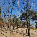 댕댕놀이터 | 포항 강아지 놀이터 입장료 무료인 댕댕동산