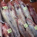 ✅️8/9일 목포수협선어위판장, 최상급 초코오징어! 중대먹갈치 한띠 먹갈치 30미병어 이미지