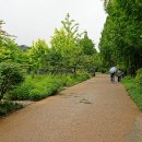 푸른수목원 Daum카페
