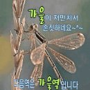 보고싶어서ㅡ정다한 노래ㅡ아름다운 풍경 ㅡ영상 입니다ㅡ 이미지