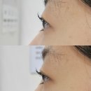 새봄약품 이미지