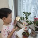감사반소예준 존중반소서욱 이미지